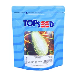 Sementes de Abobrinha Caipira (100G) TOPSEED