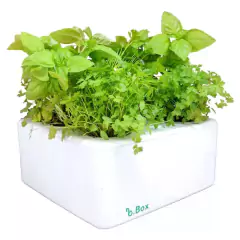 Horta Inteligente Branca Clássica (20X20cm) BROTA COMPANY - comprar online