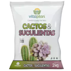 Terra Especial para Cactos e Suculentas (2kg) VITAPLAN