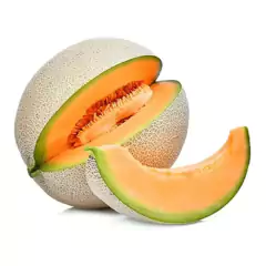 Sementes de Melão Hales Best Jumbo Blueline TOPSEED na internet