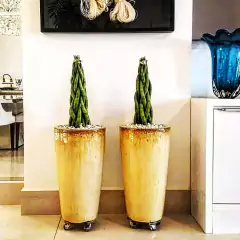 Suporte Alum. Invisível 30cm c/04 Rodas até 160kg TECH PLANT na internet