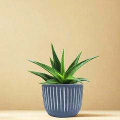 Vaso Cerâmica Violeta (11) Cimento Queimado BURGUINA - loja online