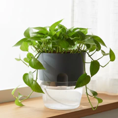 Vaso Acqua Autoirrigável (15x18) Cor Grafite VASART - loja online