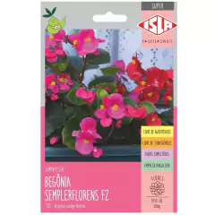 Sementes de Begônia Semperflorens SUPER ISLA