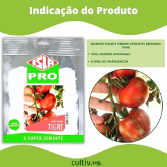 Semente Tomate Híbrido Coquetel Redondo Tigre (20) ISLA - loja online