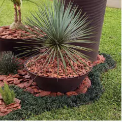 Casca de Pinus Polida M (2,5kg) VITAPLAN - comprar online