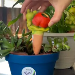 Irrigador em Cerâmica para Vaso SAPO C191 (7X15) TOP GARDEN