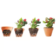 Imagem do Manta para Drenagem de Solo DRENADIM (30X30) TOP GARDEN