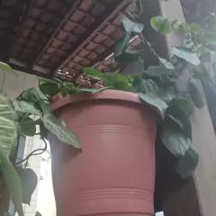 Vaso Milano sem Prato (G-35x30) Cor Cerâmica RIQUEPLÁS