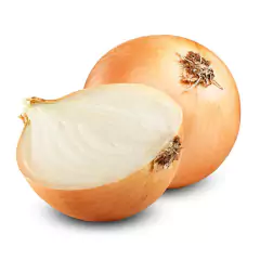 Sementes de Cebola Texas Early Grano 502 TOPSEED - loja online