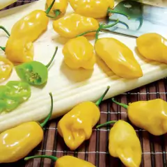 Sementes de Pimenta de Cheiro do Norte TOPSEED - comprar online