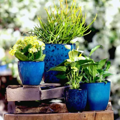 Imagem do Vaso Cerâmica Esmaltado Orquídea (15) Azul Preto BURGUINA