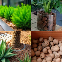 Imagem do Argila Expandida para Drenagem e Decoração (5kg) ALL GARDEN