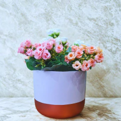 Buquê de Rosinha Artificial (28cm) Sortida SMO - loja online