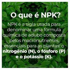 Fertilizante Mineral Misto NPK 10-10-10 (1Kg) MAXGREEN - loja online