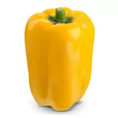 Sementes Pimentão Hibrido Amarelo Satrapo (100mg) SUPER ISLA na internet