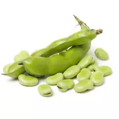 Imagem do Sementes de Fava de Sevilha (100g) ISLA