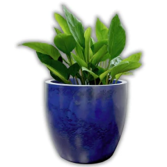 Vaso Agata 42 (33L) Cor Azul Vietnamita JAPI - Cultiv.me