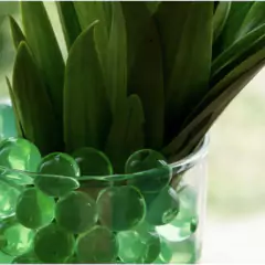 Bolinhas de Gel Verde para Plantas TOP GARDEN - comprar online