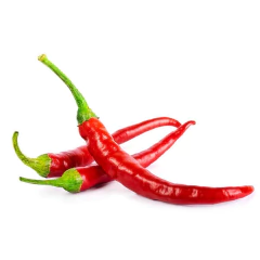 Sementes de Pimenta Cayenne (Dedo de Moça) Super ISLA - comprar online