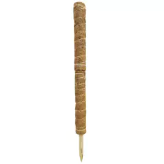 Tutor Fixo de Fibra de Coco para Plantas (60cm) TOP GARDEN