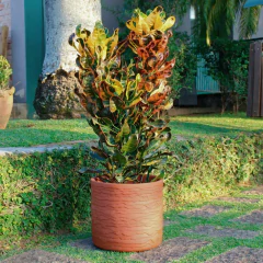 Vaso Delhi 33 (19L) Cor Terracota JAPI