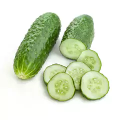 Imagem do Sementes de Pepino (Para Conserva) TOPSEED