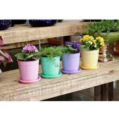 Vaso Aquarela 3,5 (1,7L) Verde NUTRIPLAN na internet