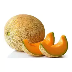 Sementes de Melão Hales Best Jumbo (100g) TOPSEED - Cultiv.me