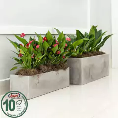 Floreira Flat 67 (17L) Cor Cimento Queimado JAPI - comprar online