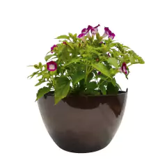Cachepô Elegance Cuia 01 (4L) Café Imperial NUTRIPLAN - Cultiv.me