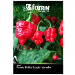 Sementes Pimenta Cowboy [Trinidad Scorpion Vermelha] FELTRIN