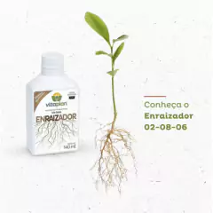KIT Fertilizantes 10-10-10 + 04-14-08 + Enraizador VITAPLAN - loja online