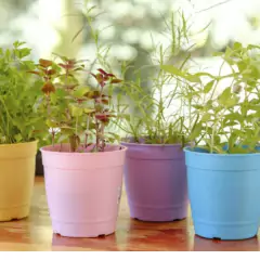 Vaso aquarela mini amarelo (0,2L) NUTRIPLAN - Cultiv.me