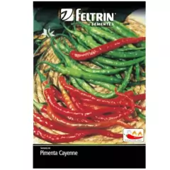 Sementes de Pimenta Cayenne Long Slim FELTRIN
