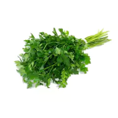 Sementes de Salsa Lisa Stella (2,80g) ISLA - comprar online