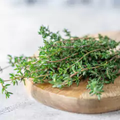 Imagem do Sementes de Tomilho/Timo ISLA