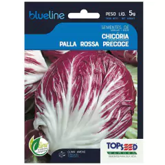 Sementes de Chicória Palla Rossa Precoce Blueline TOPSEED