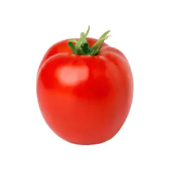 Sementes de Tomate Santa Cruz Kada (Gigante) TOPSEED - Cultiv.me