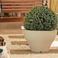 Vaso Ming Redondo Baixo 23 (12L) Cor Areia NUTRIPLAN na internet