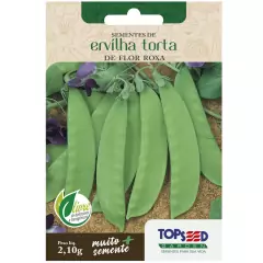 Sementes de Ervilha Torta de Flor Roxa TOPSEED
