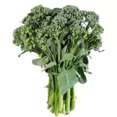 Sementes de Brócolis Ramoso Santana TOPSEED - comprar online