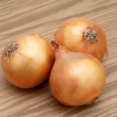 Sementes de Cebola IPA 11 TOPSEED na internet
