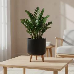 Imagem do Vaso Doha Pequeno Pé Palito (22x19) Preto ALPE E ARITANA