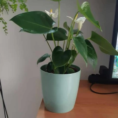 Vaso Cachepot Orquídea (12x15) Azul Vintage VASART - Cultiv.me