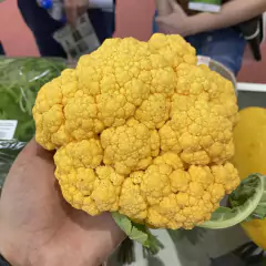 Imagem do Sementes de Couve-flor Híbrida Cheddar (50 Sementes) ISLA