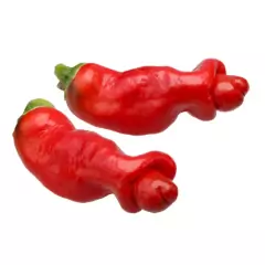 Imagem do Sementes de Pimenta Peter Pepper TOPSEED