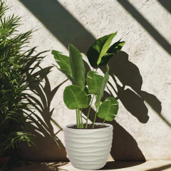 Imagem do Vaso Cliff 33 (17L) Cor Cimento JAPI