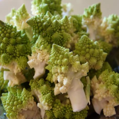 Sementes de Couve-Brócolis Romanesco Ottobrino Super ISLA - loja online