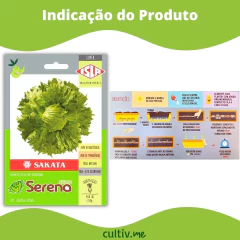 Sementes de Alface Americana Serena Super ISLA - Cultiv.me